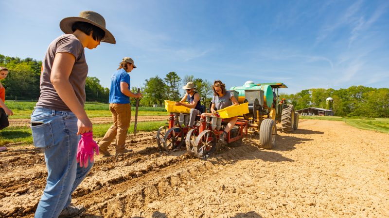 Students planting crops at Homefield Farm. Photo by Darren Van Dyke for Virginia Tech. 